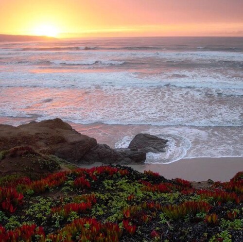 Elegant Coastal Retreat with Ocean Views, Hot Tub & Dog Friendly