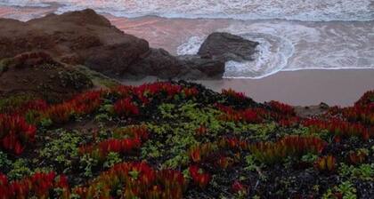 Uutta VRBO: lla !! Ylellinen koti merinäköalalla!