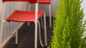 A red and white chair and table set against a white wall with a green plant in the foreground. - Beautiful Luxury London Flat - 3 minutes from Piccadilly line - sleeps 12 (London)
