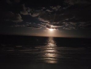 En la playa, camastros y toallas de playa 