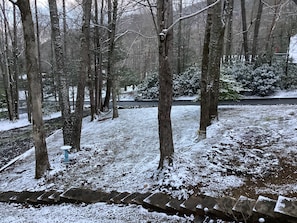 Wander through the serene winter landscape along the paved walkway, surrounded by bare trees.