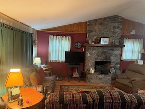 TV, fireplace, DVD player, books