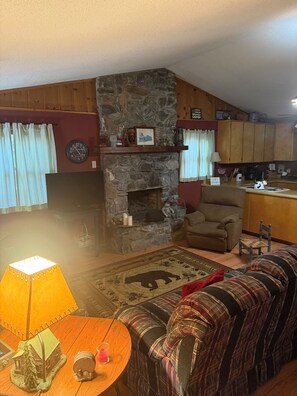 TV, fireplace, DVD player, books