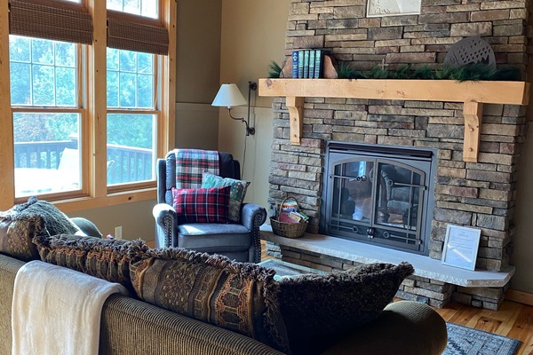 Televisión, chimenea y reproductor de DVD