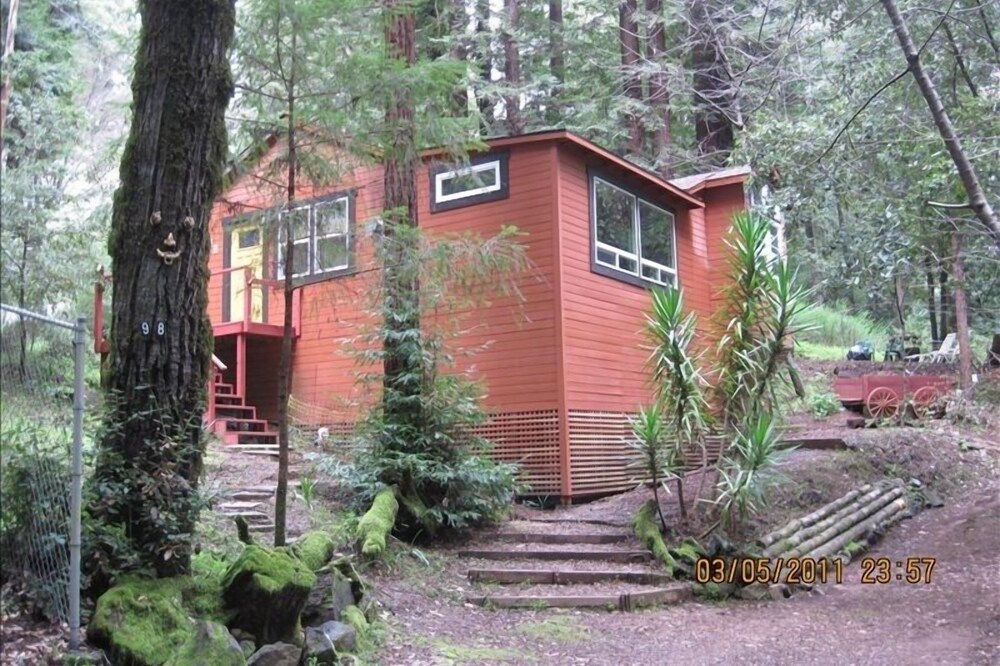 Cabin Getaway, Surrounded by Forest, Relaxing, Occidental Ca