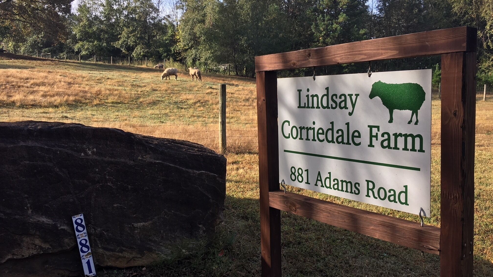 Two Bedrooms - Sleeps 4 Guests: in Farmhouse on rural sheep and goat farm