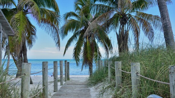 A wooden pathway leading to a beach with palm trees and a wooden fence.