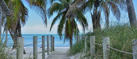 Playa en los alrededores