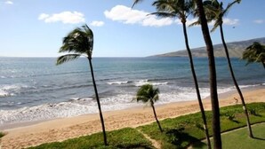 A beach with palm trees and the ocean. - OceanFRONT, UPDATED, 4th Floor, 1BR Cali King, Non-Smoking, SHARP! (Kihei)