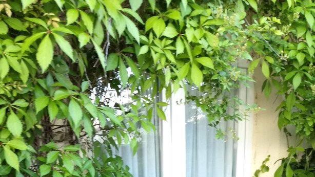 Utvendig detalj