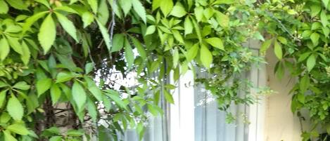 تفاصيل الفندق من الخارج