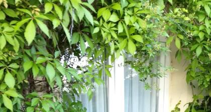 Appartement 40m2 rez de chaussée, à proximité du centre de Saumur