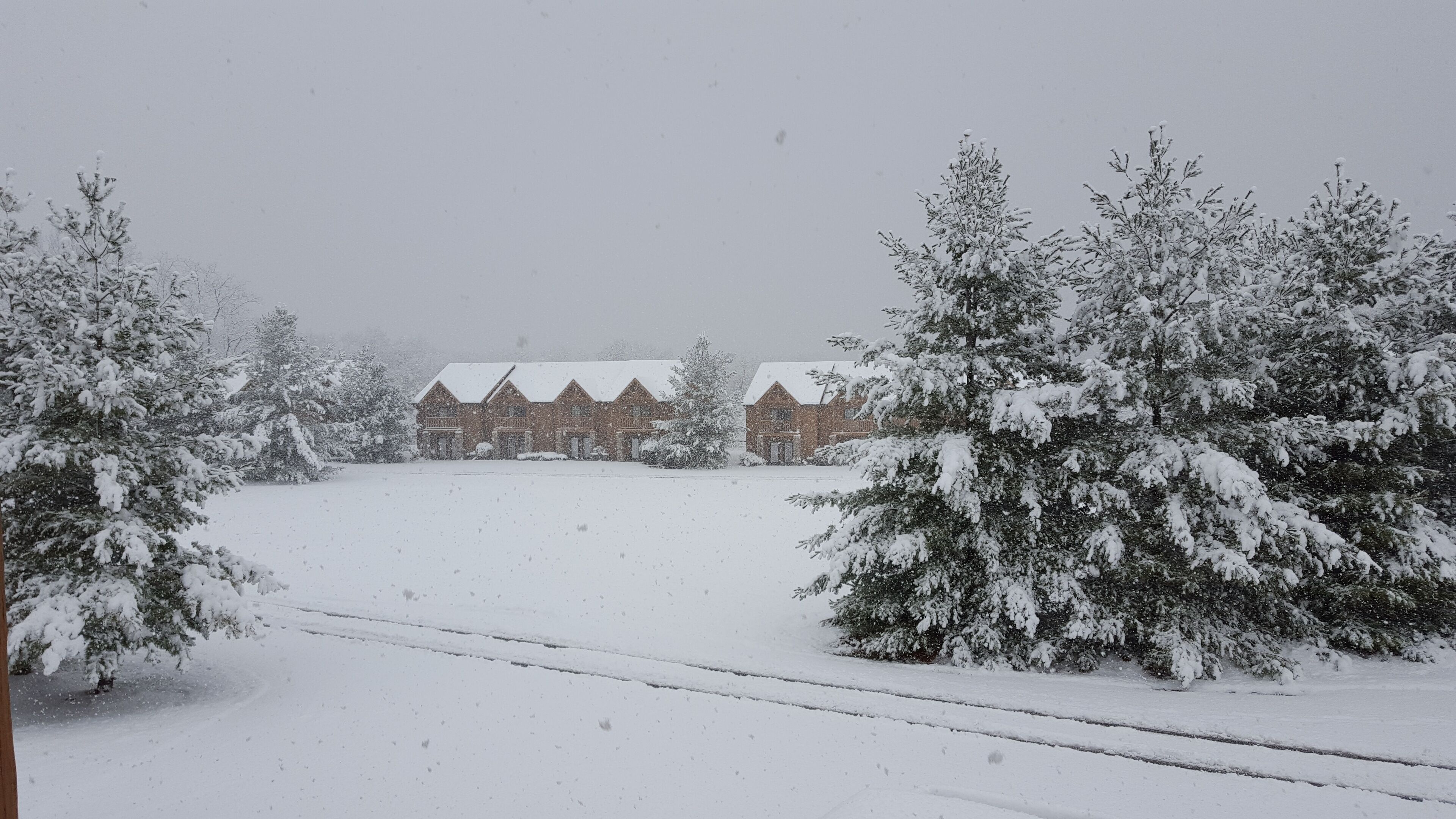 2BR Rustic Villa Retreat Next to Starved Rock State Park