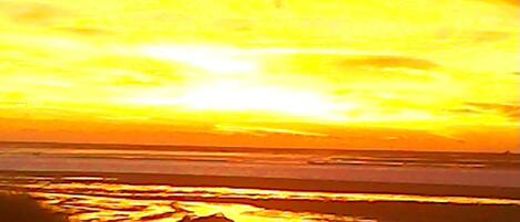 Nær stranden og solsenger