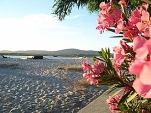 Plage, chaises longues