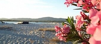 Beach House dans un endroit fantastique avec une vue imprenable.