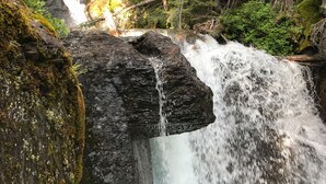A waterfall cascading over moss-covered rocks in a forested area. - Peacful and cozy cottage in the mountains (Bigfork)