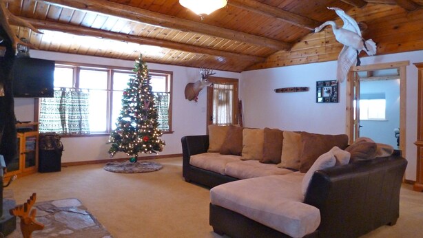 A cozy living room with a wooden ceiling, a Christmas tree, a leather sofa, and a mounted deer head. - Peacful and cozy cottage in the mountains (Bigfork)