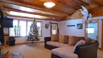 TV, fireplace, DVD player