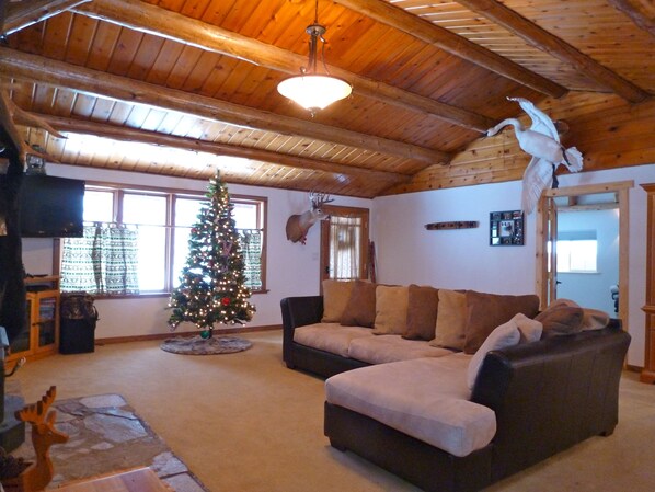 TV, caminetto, lettore DVD