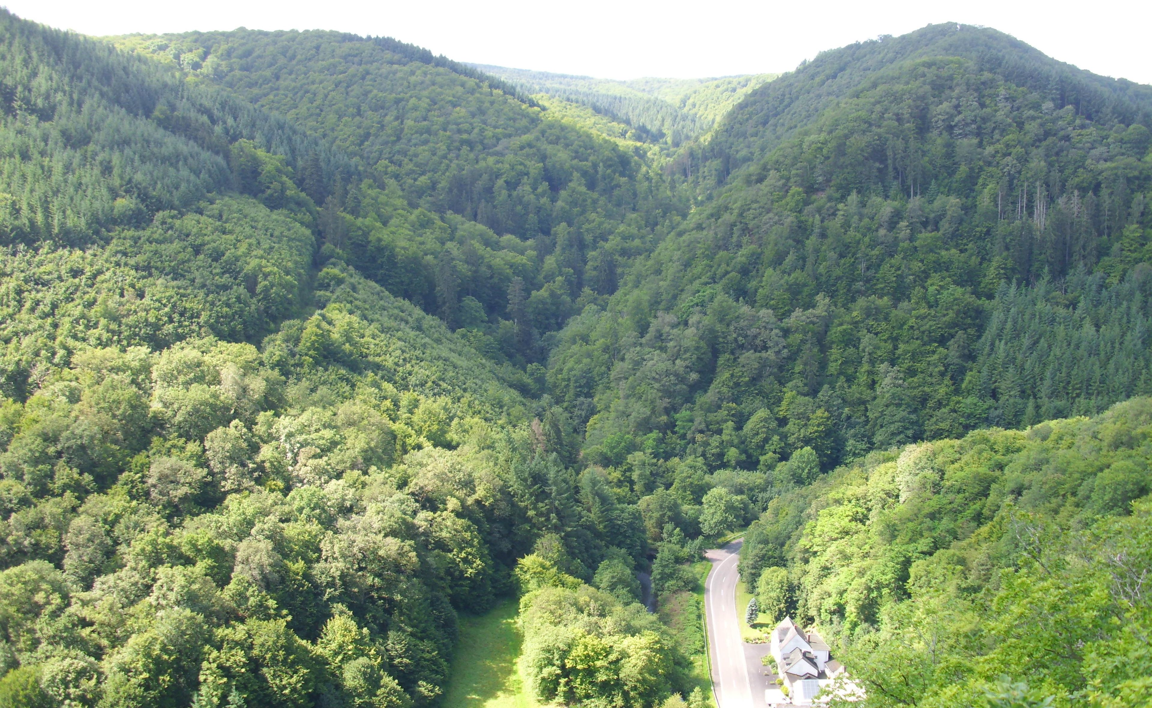 Aussicht von der Hohen Lay