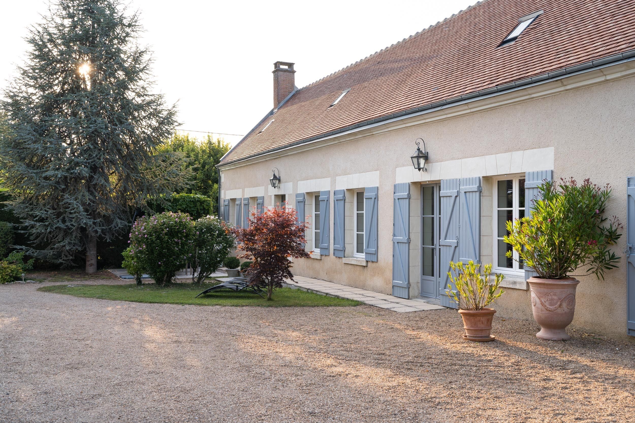 A house with a gravel driveway, a large evergreen tree, and potted plants.