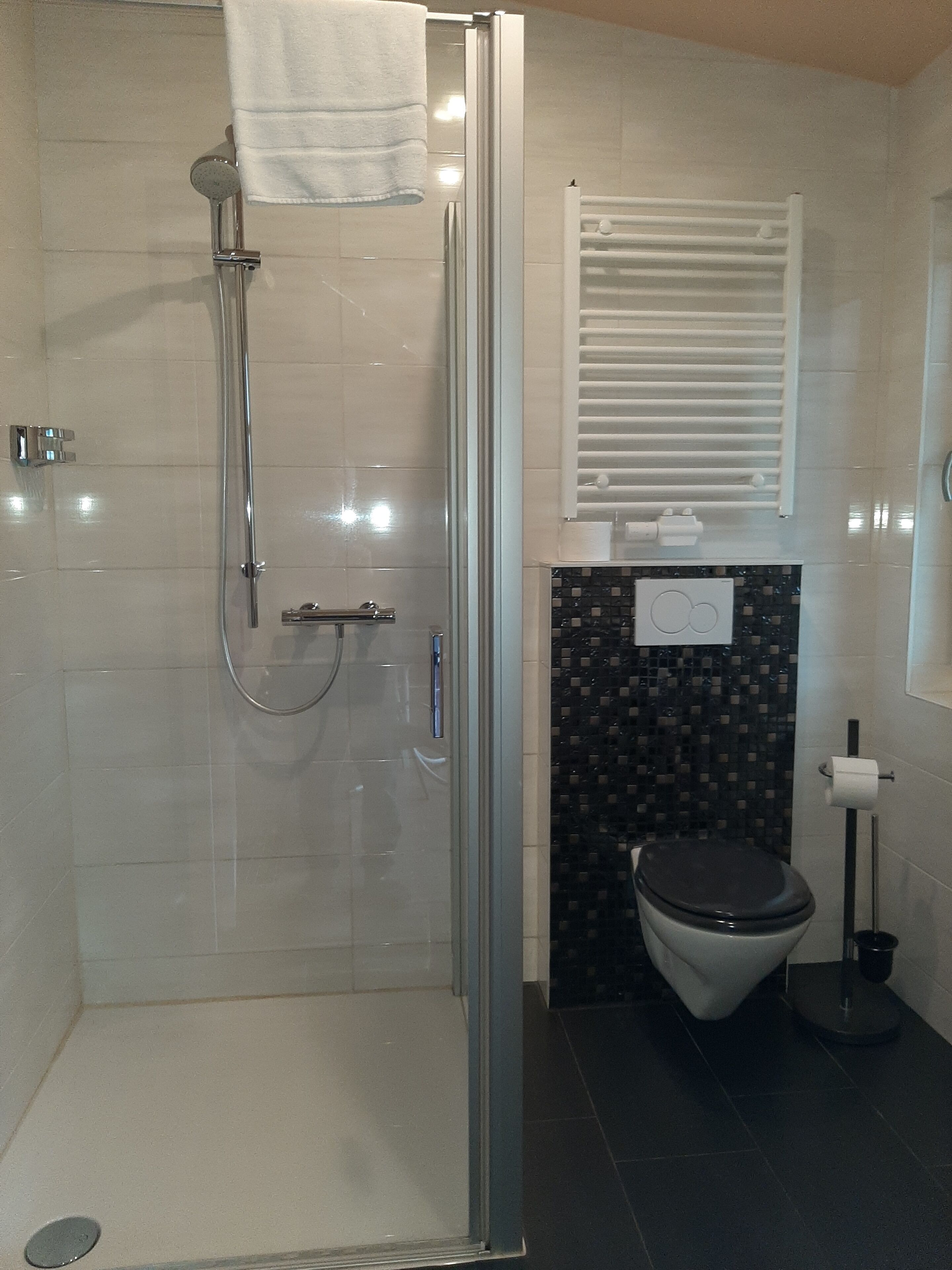 shower, free toiletries, hair dryer, towels