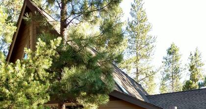 Ihana, kevyt, valoisa koti metsässä! SHARC-passit sisältyvät! Poreamme!