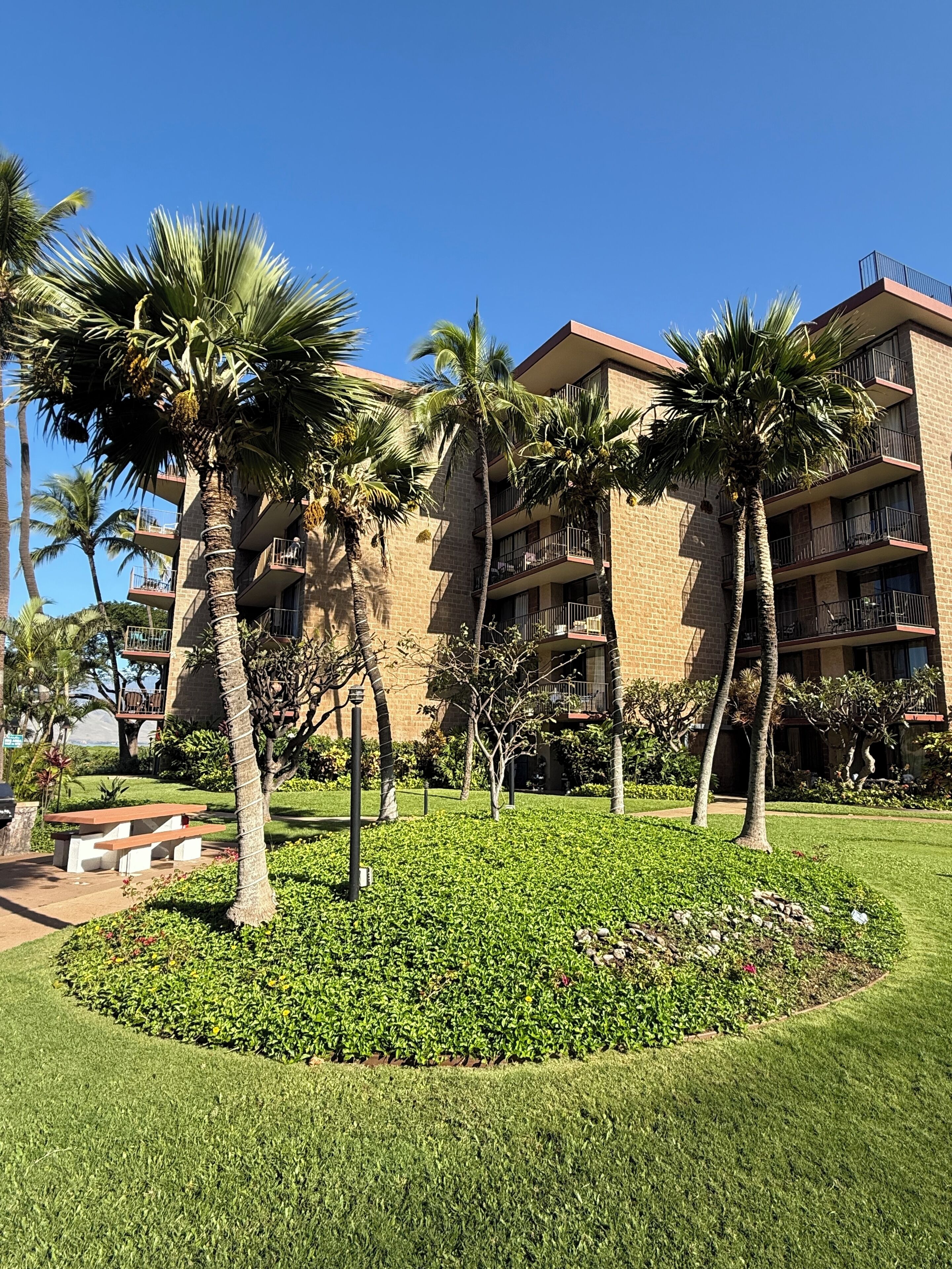 A hotel with multiple-story brick buildings, palm trees, and a well-maintained lawn.
