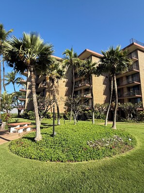 Property grounds - A Piece Of Paradise! (Kihei)