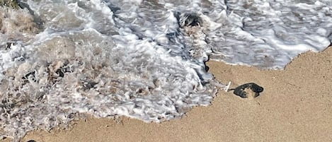 On the beach, sun loungers, beach towels