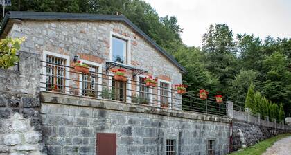 Villa Anton- "The old dairy"