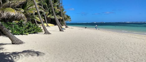 Plage | Plage à proximité