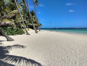 A beach with palm trees, clear blue water, and a sandy shore. - Villa Mahogany and its bungalow in Sainte Anne (Sainte Anne)