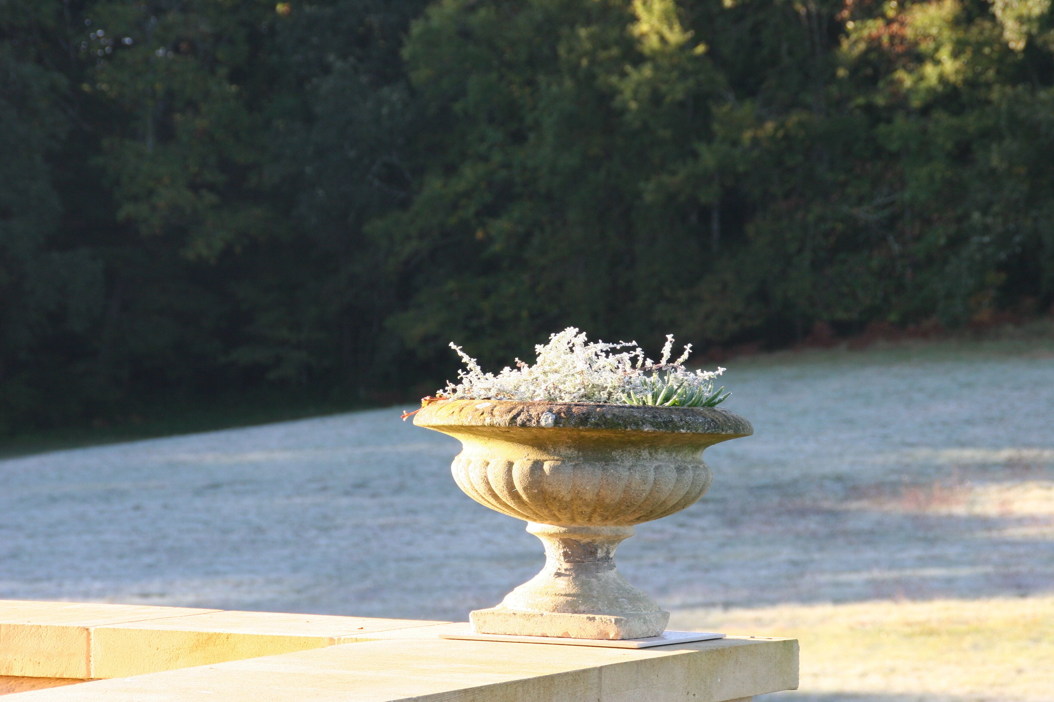 A stone urn with flowers on a wooden ledge.