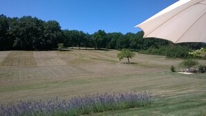 A large tent-like structure in a field with trees and a small tree in the foreground.