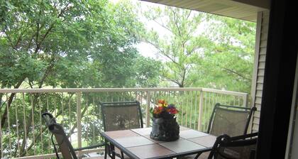 "A Step Above the Rest" Condo in the Heart of Branson