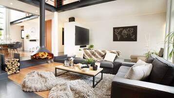 TV connectée, cheminée, jeux vidéo, lecteur de DVD