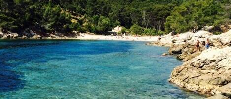 Playa