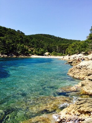 A coastal landscape with clear water, rocky shore, and a forested hill.