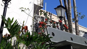 Un edificio con fachada blanca, palmeras y un área con azulejos azules.