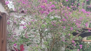 Un jardín con diversas plantas y una pequeña fuente.