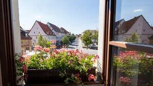Vista desde una ventana a una calle con edificios y una maceta con flores.