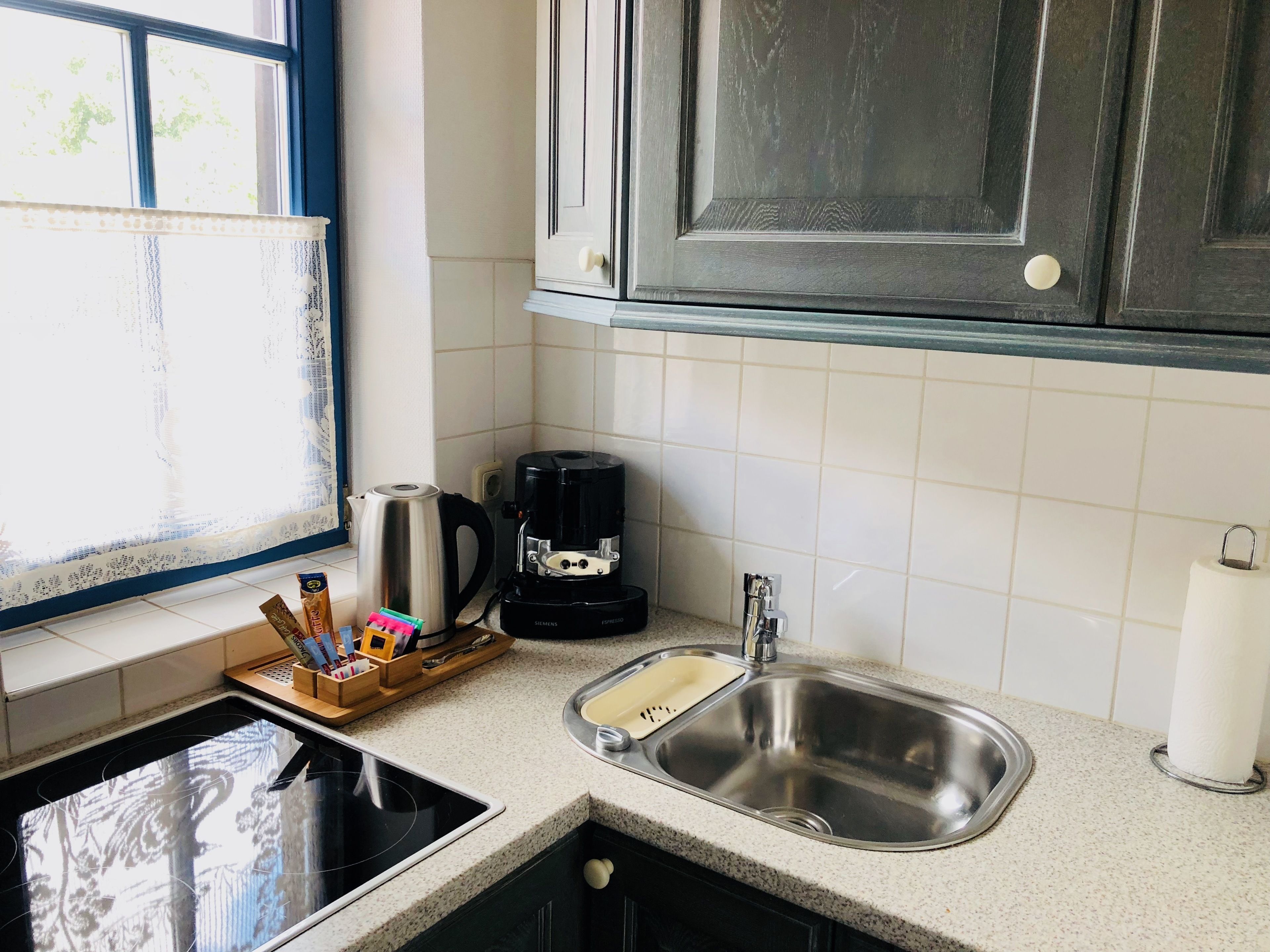 apartment (1) | private kitchen | fridge, oven, stovetop, coffee/tea maker