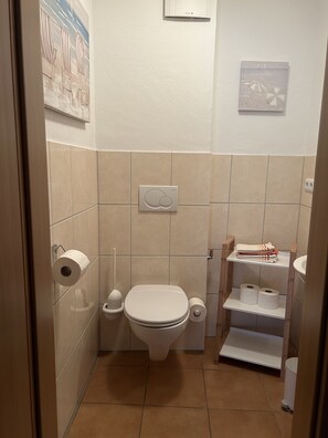 Shower, hair dryer, towels, toilet paper
