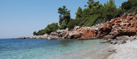 Ranta