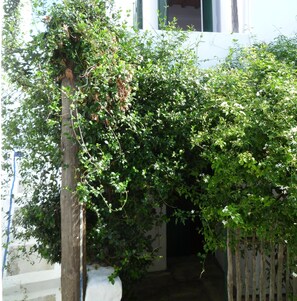 Detalle exterior