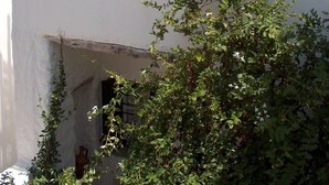 A building with a partially constructed balcony, a window with a wooden shutter, and a plant in the foreground.