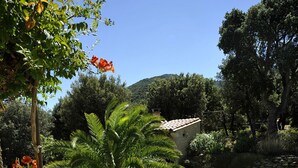 Un jardin aménagé avec un sentier sinueux en pierre, des palmiers et un bâtiment doté d’un toit recouvert de tuiles.