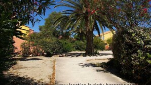 A pathway leading through a garden with palm trees and flowering plants. - Grd T3 comfortable, bikes / hammock, pond edge, near beach, quiet (Le Barcarès)